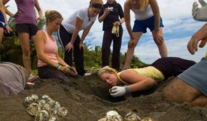 High school students at sea turtle camp in Costa Rica