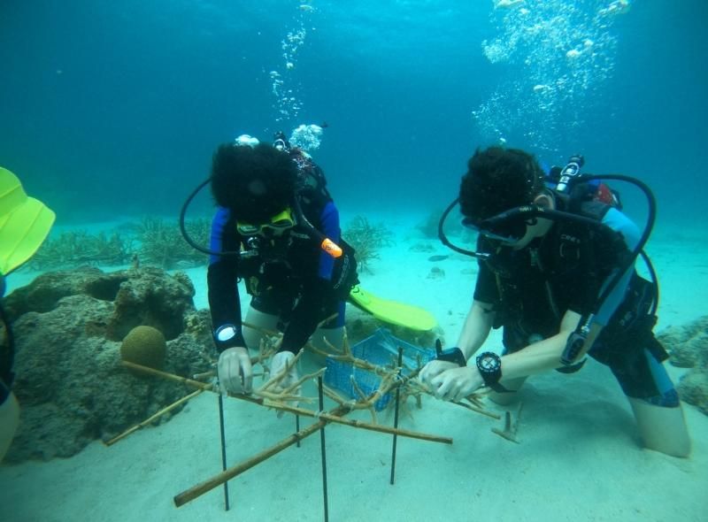 Middle school students on marine biology summer camp volunteer at coral nursery