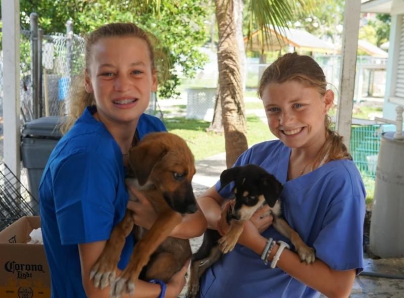 Middle school girls hold puppies on middle school summer program abroad in Bahamas for veterinary medicine