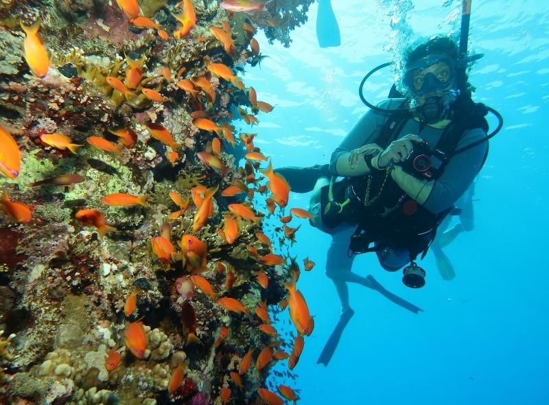 Teen diver underwater with colorful coral and fish on summer scuba camp