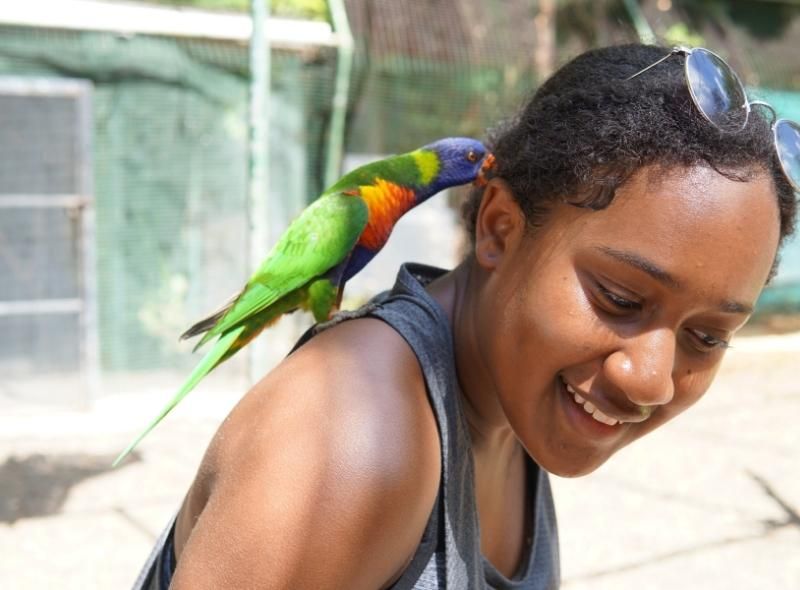 High school girl and tropical bird on summer vet medicine camp