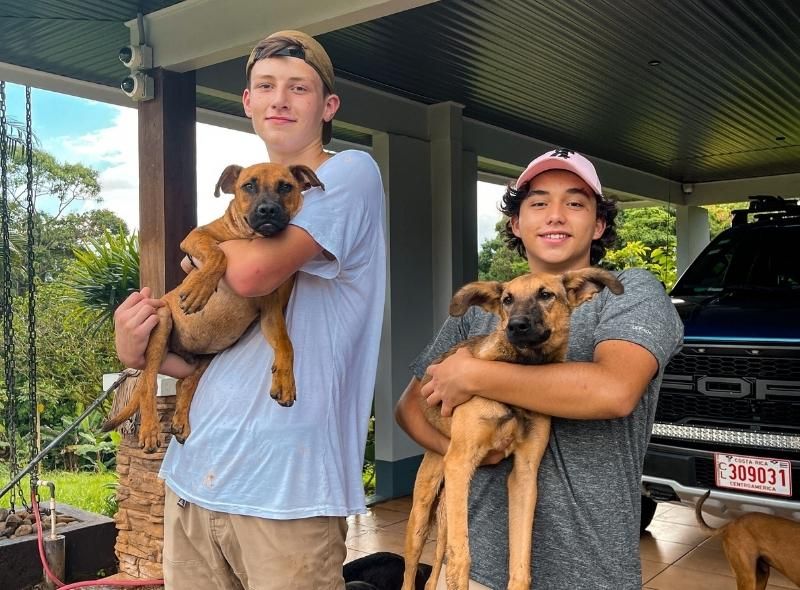 High school boys hold dogs at animal shelter on veterinary medicine summer camp
