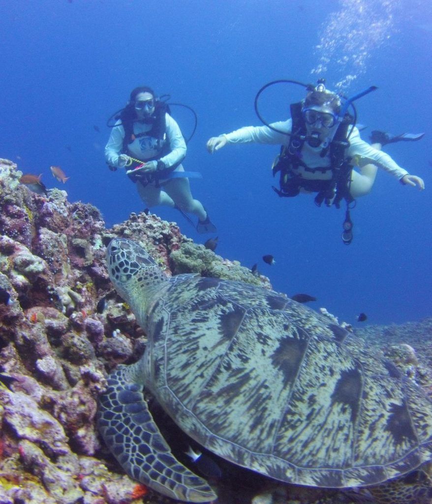 Full-time position coordinating international scuba programs.