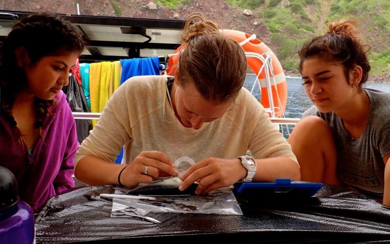 Marine biologist and Broadreach instructor Laura teaches marine biology to high school students on boat
