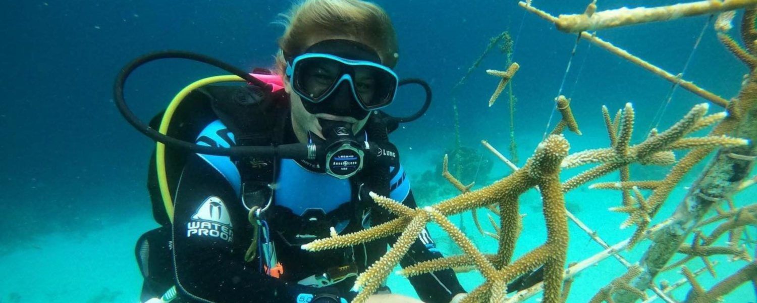 Marine biologist and Broadreach instructor Megan conducting coral restoration