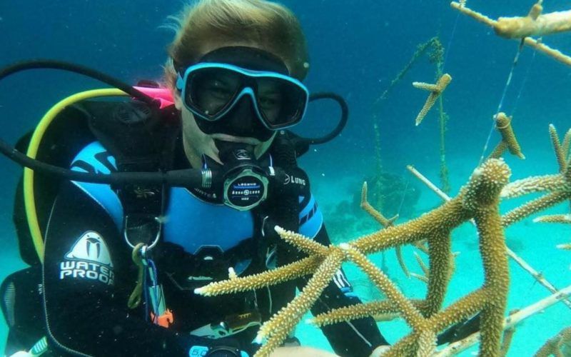 Marine biologist and Broadreach instructor Megan conducting coral restoration