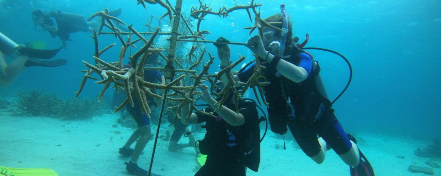 Marine Biology Adventures