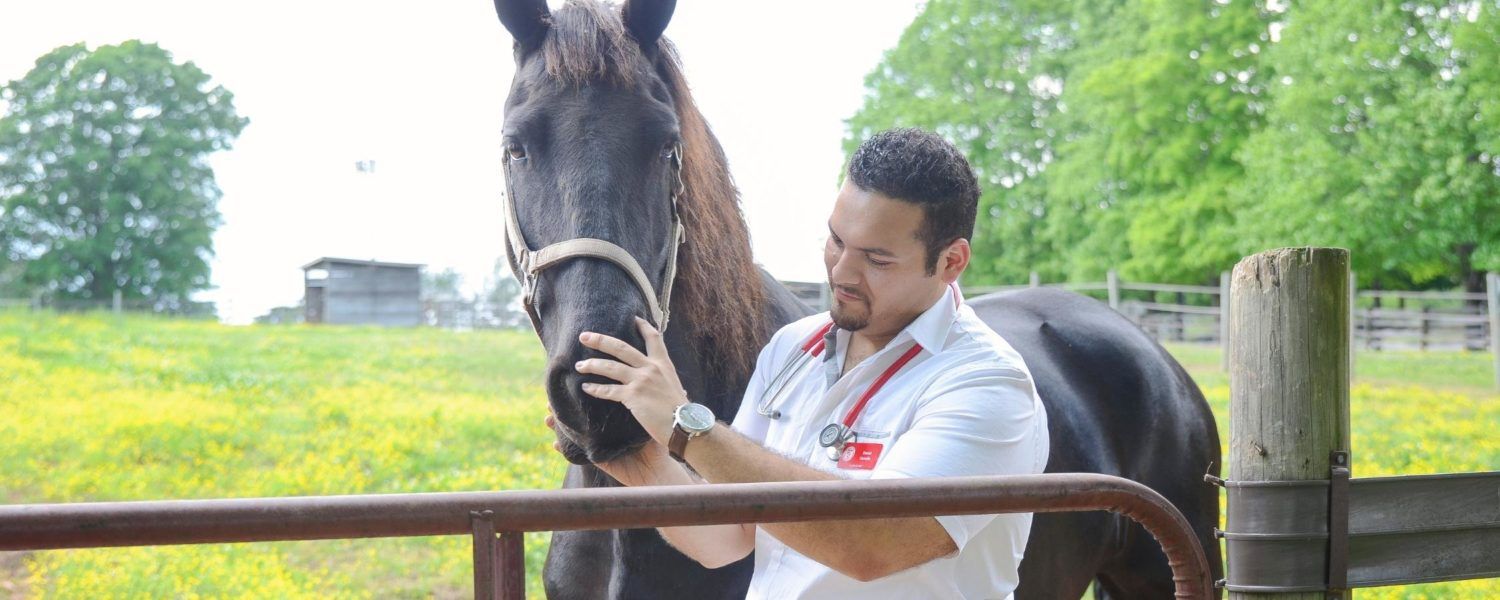 veterinarian and Broadreach instructor Dr. Daniel Carreno with horse