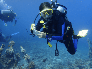 Broadreach student diving working on PADI specialty on Red Sea summer program