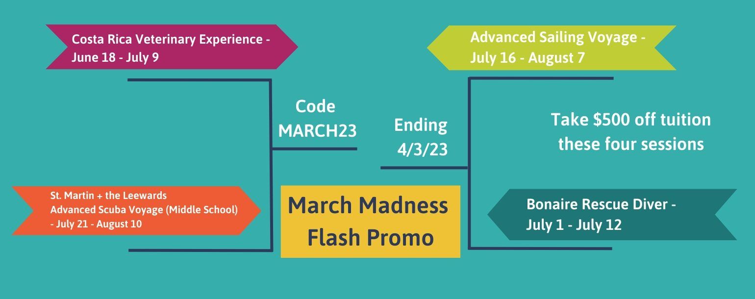 March Madness flash promo: Take $500 off tuition for four specific trip sessions with code MARCH23 through 4/3/23