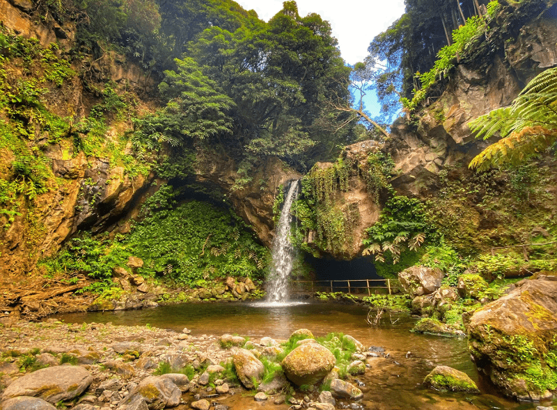 Azores marine biology program