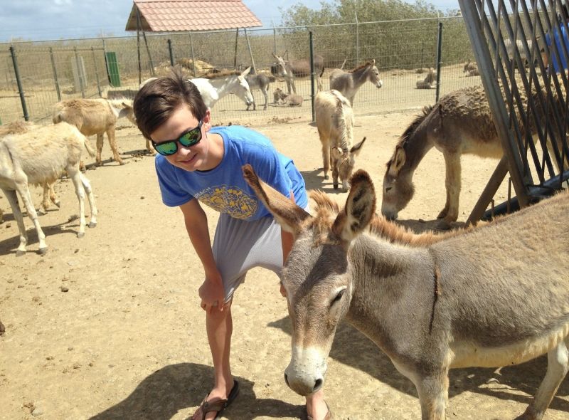Middle school student at donkey sanctuary on Bonaire scuba program