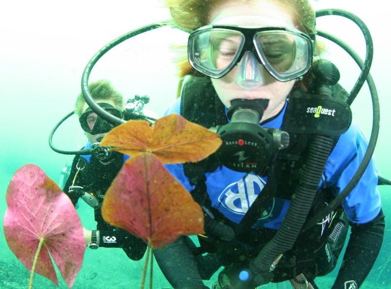 Teen divers see colorful marine life on summer marine biology program