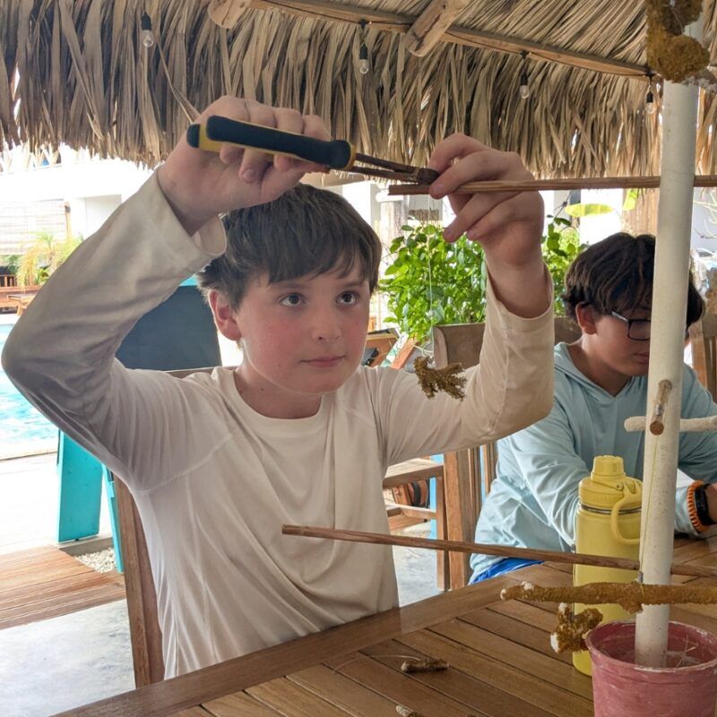 Middle school student works on coral nursery on Bonaire marine biology program.