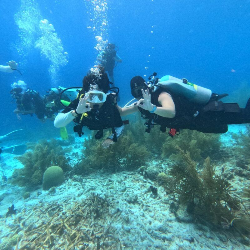 Middle school students scuba dive with colorful coral in Bonaire on summer program