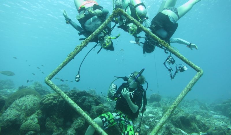 middle school intro dive program in Bonaire