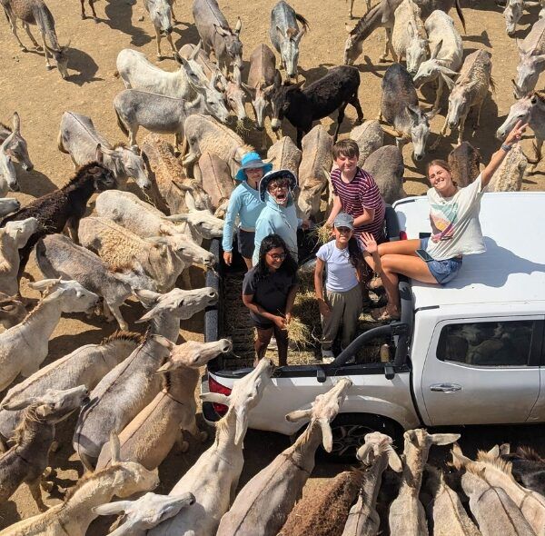 Middle school students at donkey sanctuary in Bonaire on marine bio program