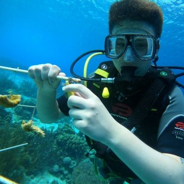 High school scuba diver assist with coral restoration on Bonaire Rescue Diver program