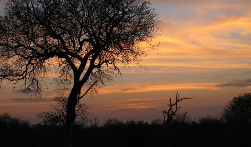Sunset in Malawi on Broadreach conservation trip
