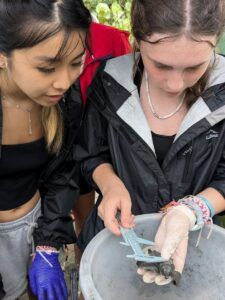 Students researching wildlife protection policies and environmental law in a conservation setting