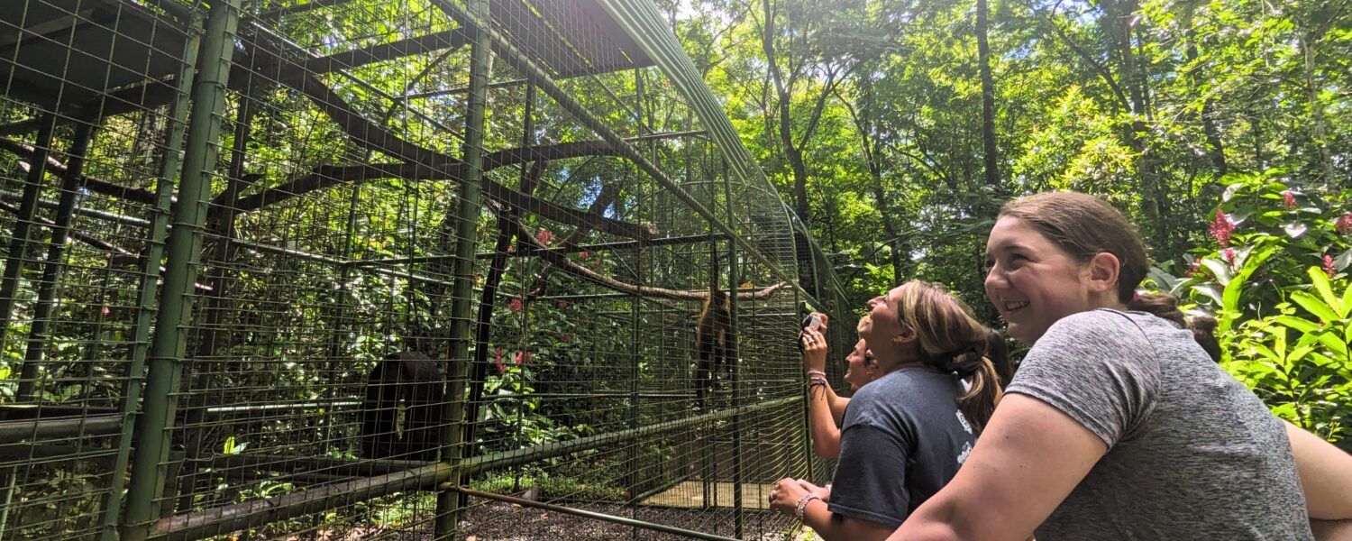 Students observing animals at a wildlife reserve during a hands-on conservation program