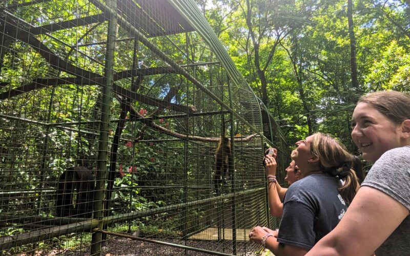 Students observing animals at a wildlife reserve during a hands-on conservation program