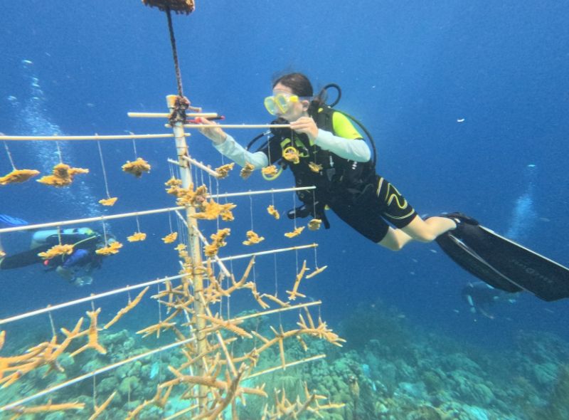 middle school student diver assist with coral restoration on Bonaire marine biology camp