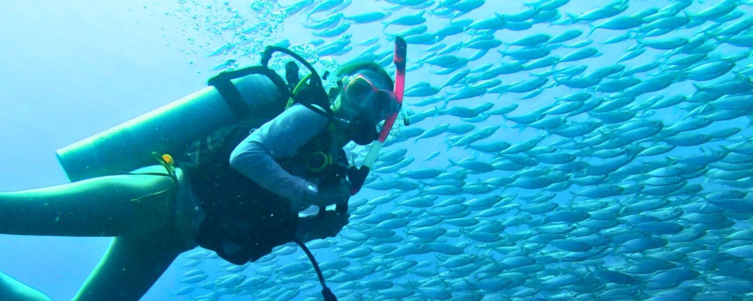 high school student scuba diver underwater with school of fish on marine biology summer program
