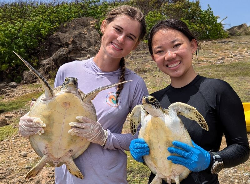 two high school students hold sea turtles assisting with sea turtle conservation project