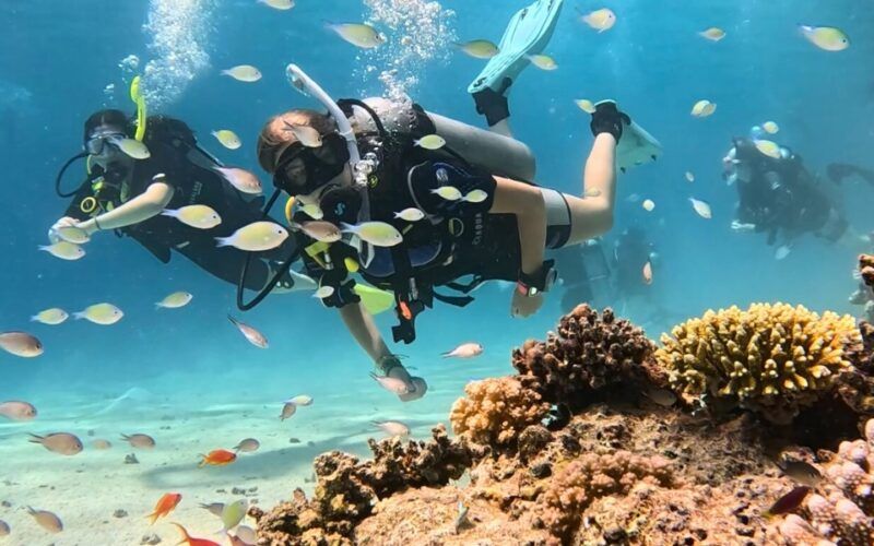 Students scuba diving over a healthy coral reef while learning coral restoration and marine conservation