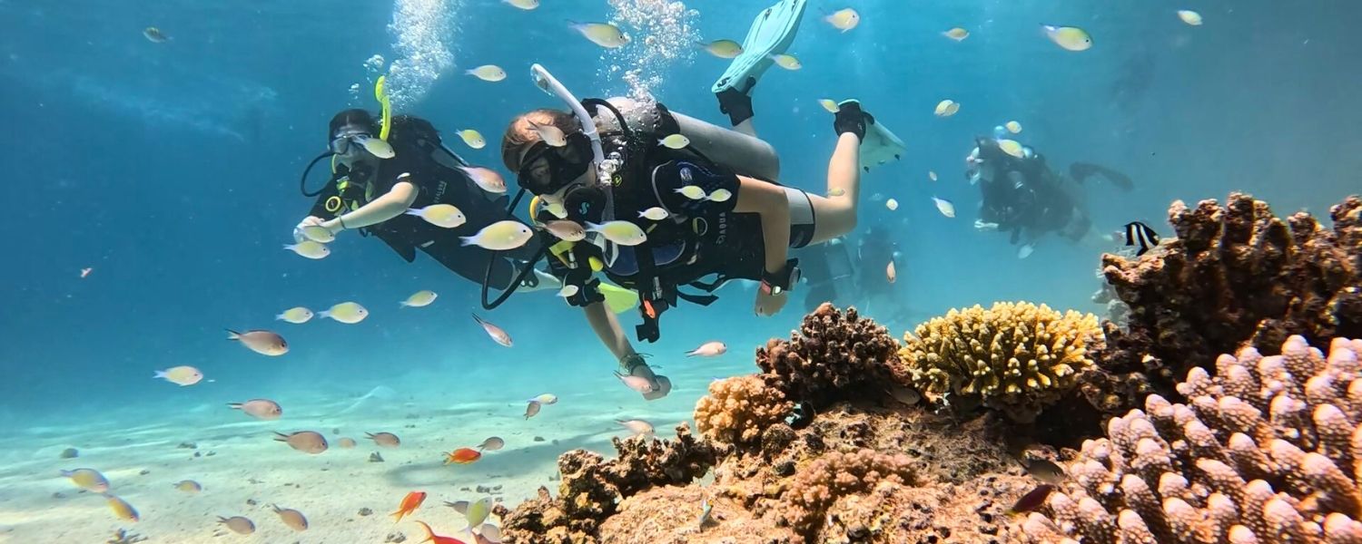 Students scuba diving over a healthy coral reef while learning coral restoration and marine conservation