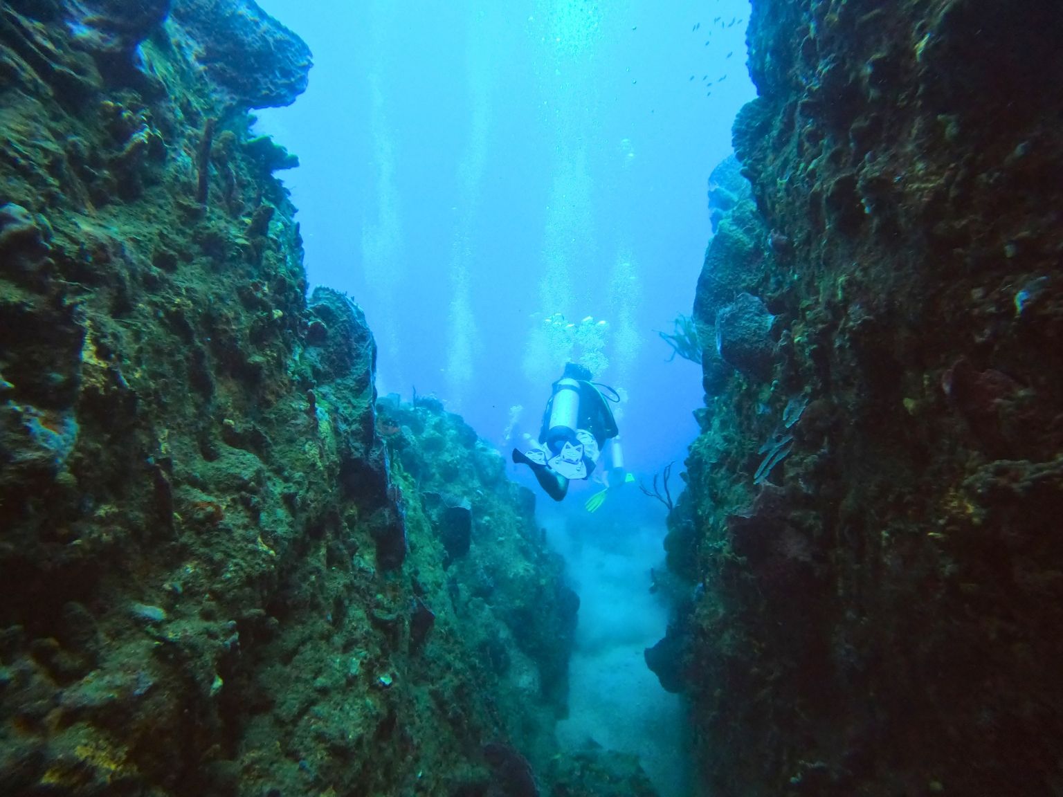 Teen diver entering a bat cave during a scuba dive along the rugged coastline of St. Vincent