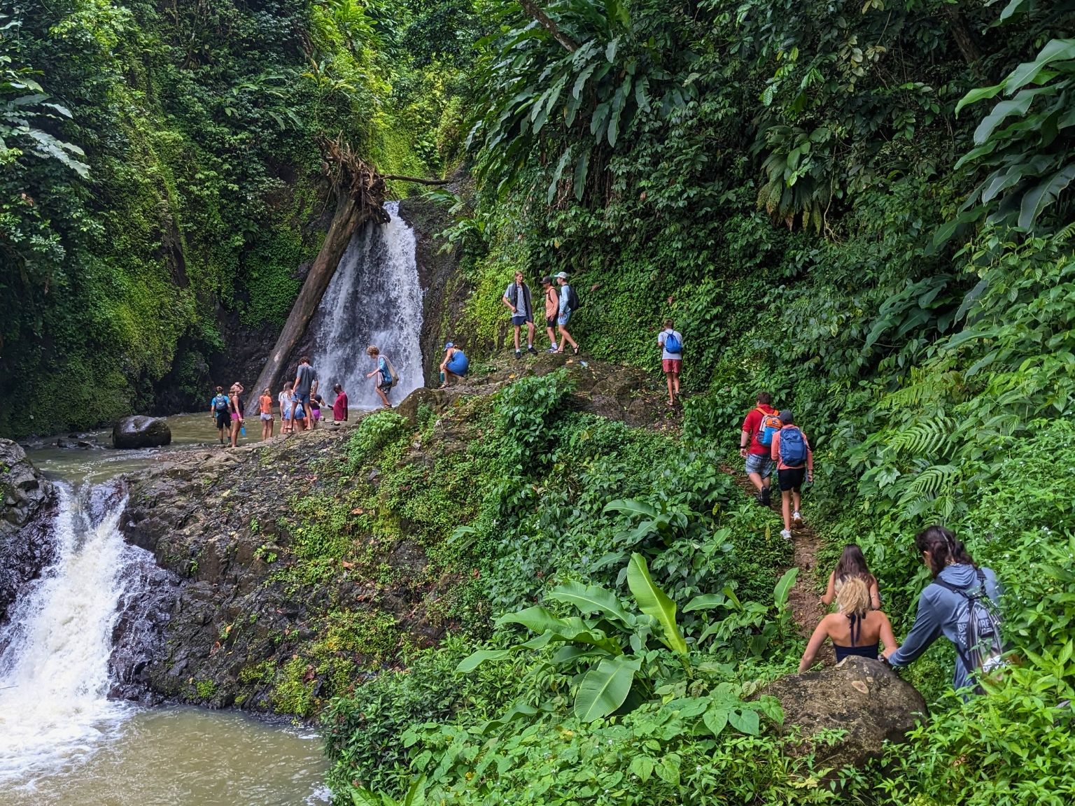 Group of students hiking through tropical rainforest to a waterfall in Grenada