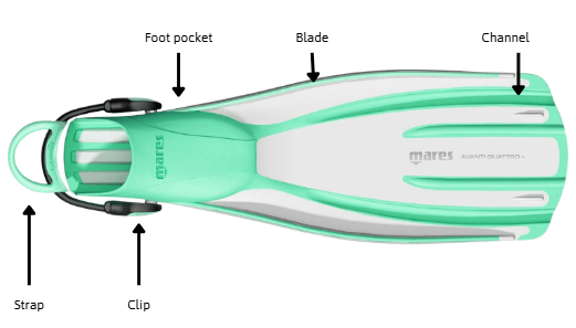 parts of a scuba fin for scuba dive camp