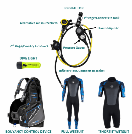 scuba dive gear
