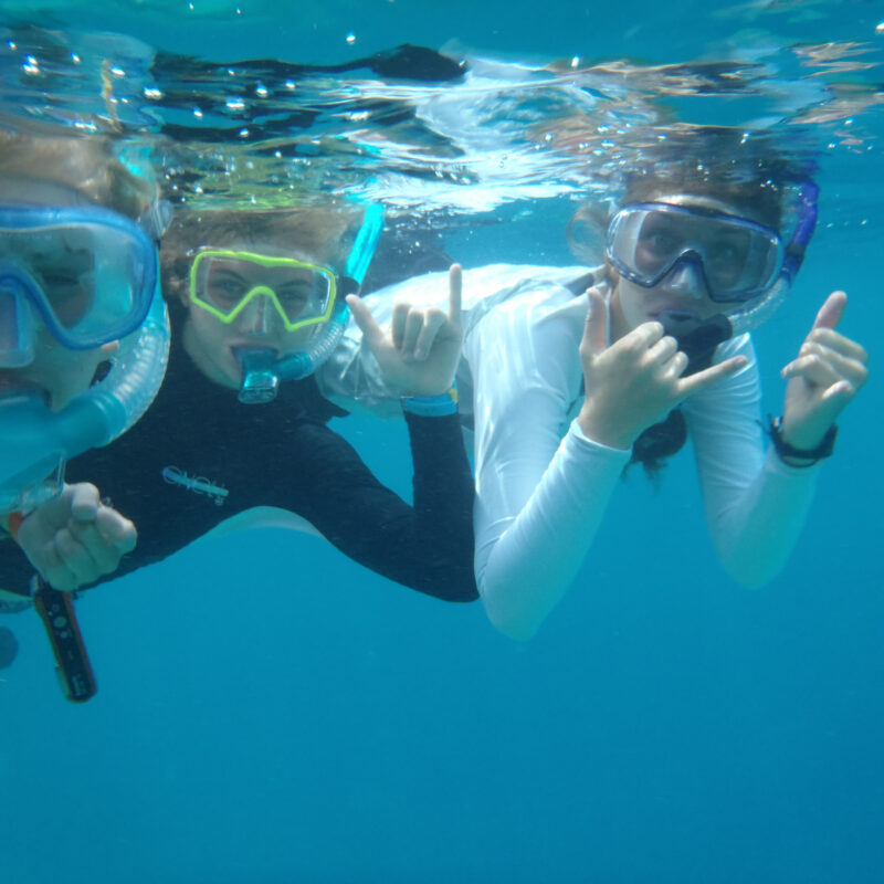 Snorkel in Belize Barrier Reef on this middle school marine science summer camp