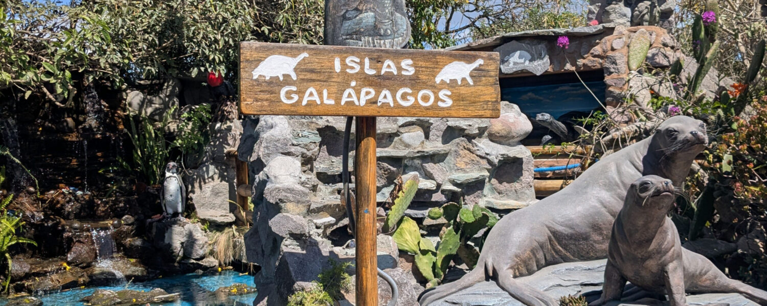 conservation biology program for teens in the Galapagos