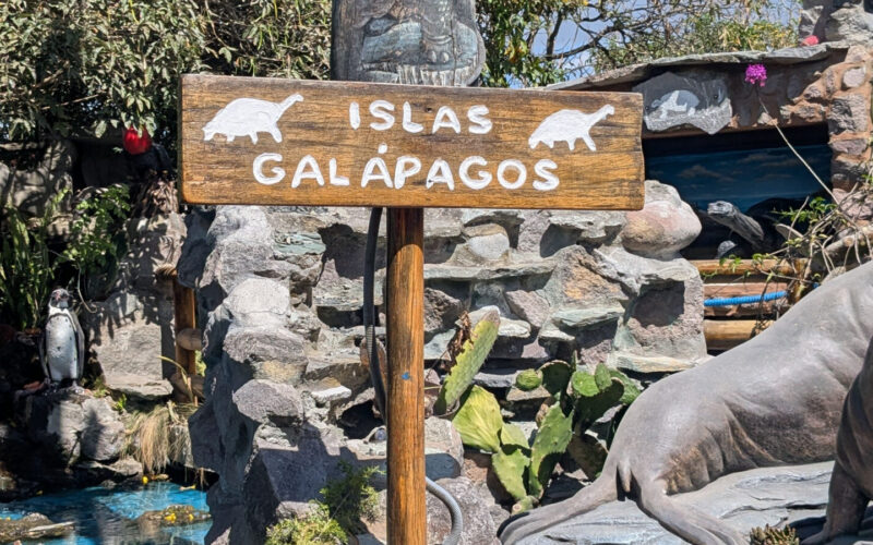 conservation biology program for teens in the Galapagos